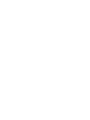 aras partner logo